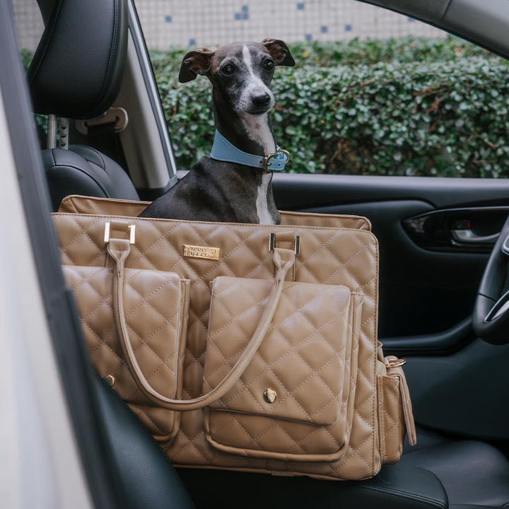 Fashionable pet travel bag, animal print, multi-functional for all pet types