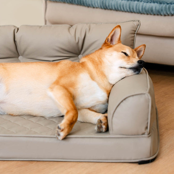 Foldable orthopedic pet bed for large dogs, brown faux leather, offers comfort and back support