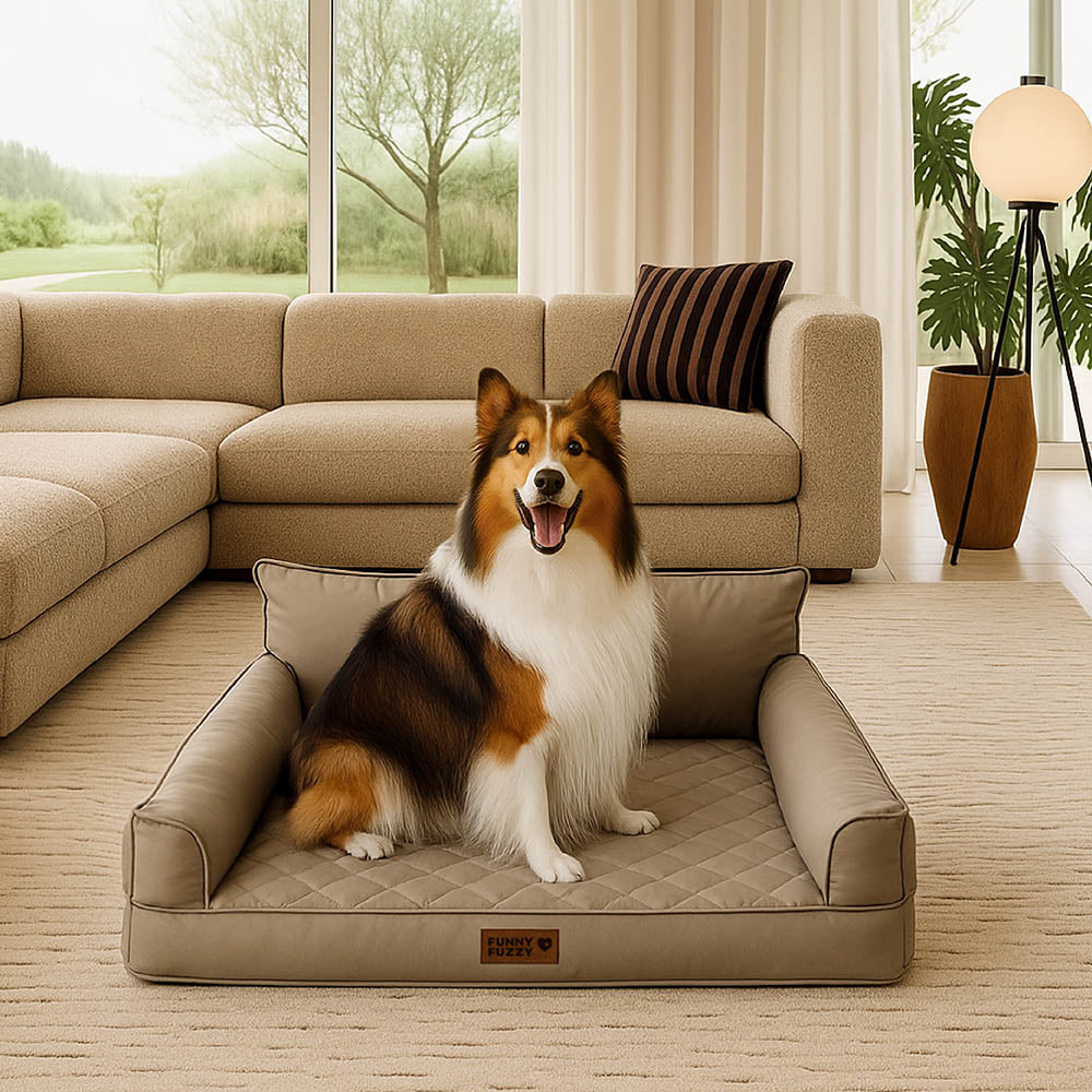 Orthopedic pet bed for big dogs, faux leather, provides joint support, easily foldable for travel