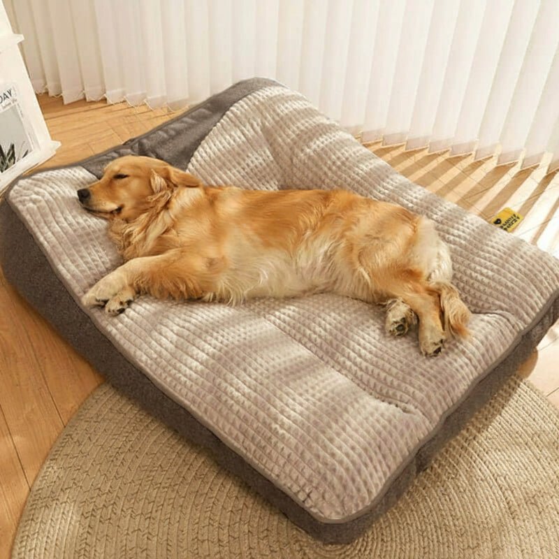 Scratch-resistant, machine washable orthopedic dog bed, ensures lasting pet comfort.