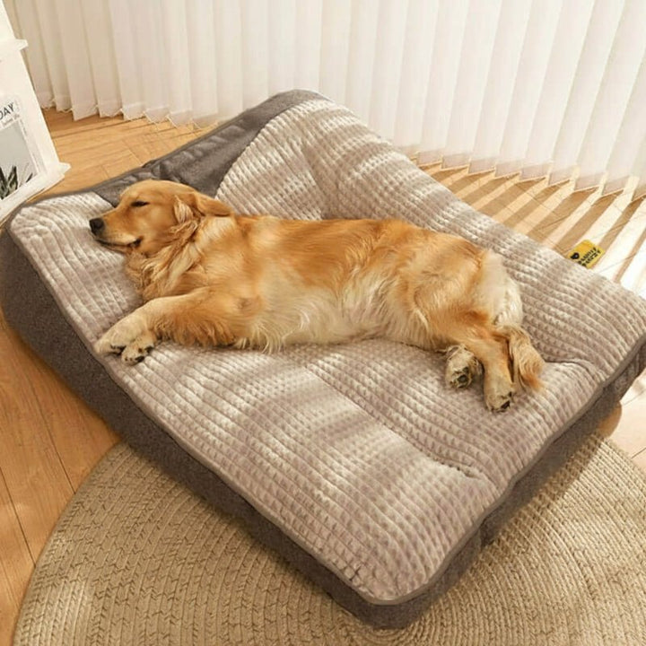 Scratch-resistant, machine washable orthopedic dog bed, ensures lasting pet comfort.