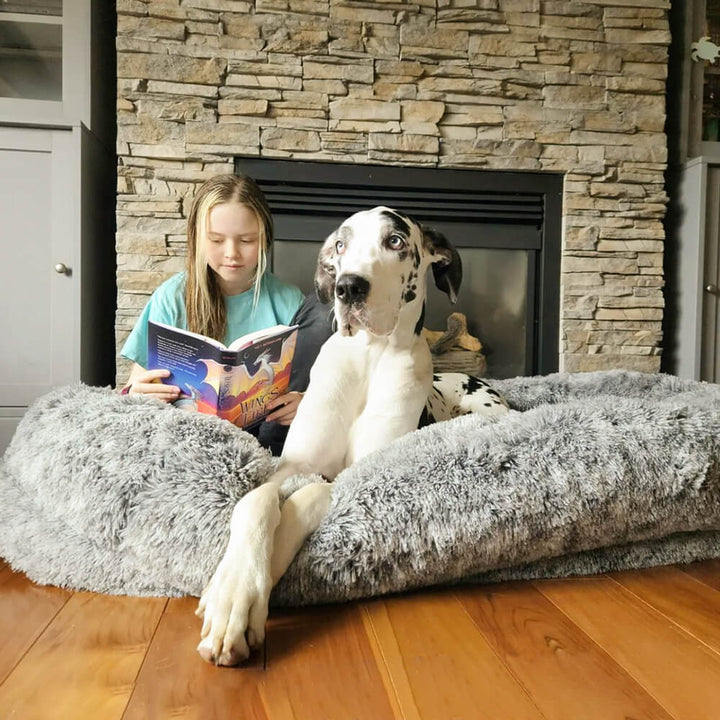 Large oval human dog bed, grey faux fur, deep sleep comfort for pet and owner