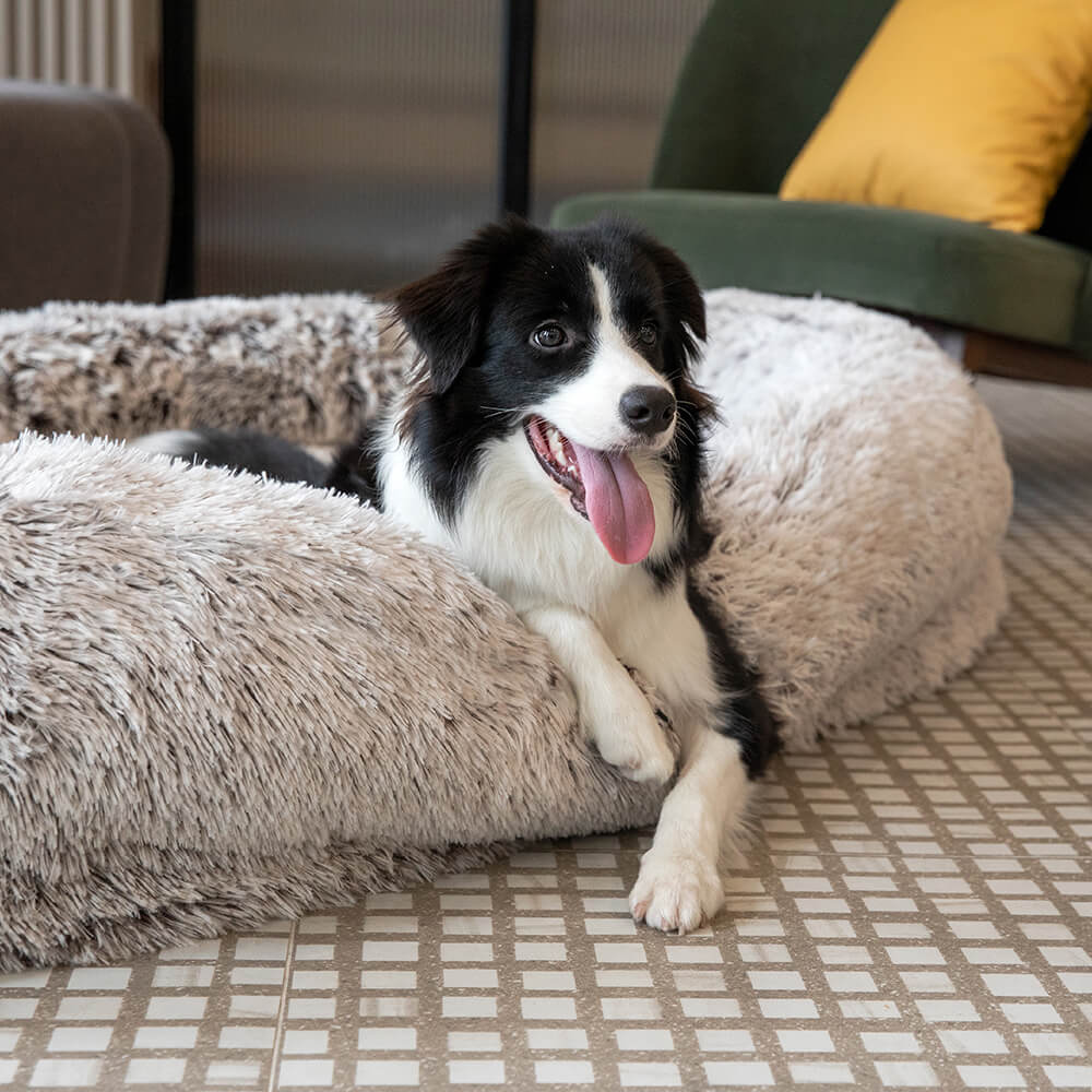 Grey washable human dog bed, designed for deep sleep and shared comfort