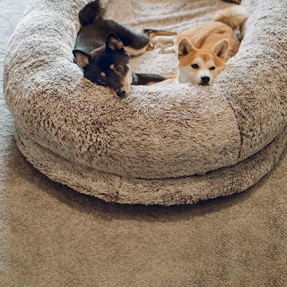 Oversized oval pet bed for deep sleep, faux fur, human and dog friendly