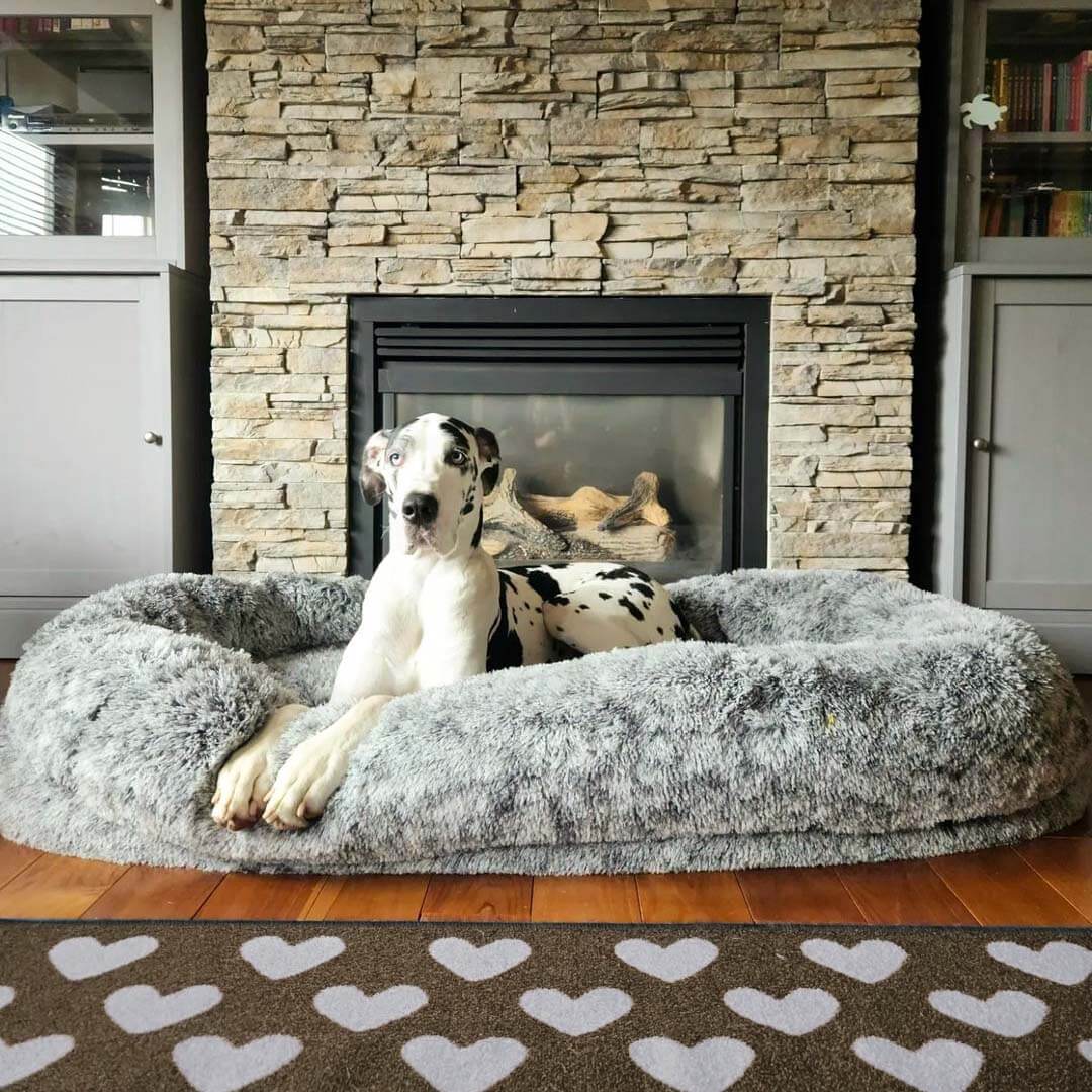 Unisex shared human dog bed, soft washable faux fur, cozy deep sleep pet luxury