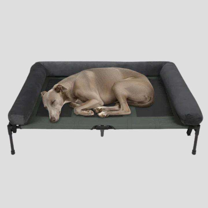 Spacious indoor/outdoor raised bolster dog bed for large dogs, featuring cooling airflow and orthopedic support.