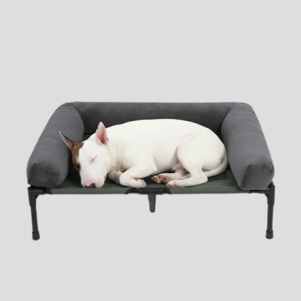 Comfortable large pet bed with raised bolster, designed for cooling airflow and orthopedic support for big dogs.