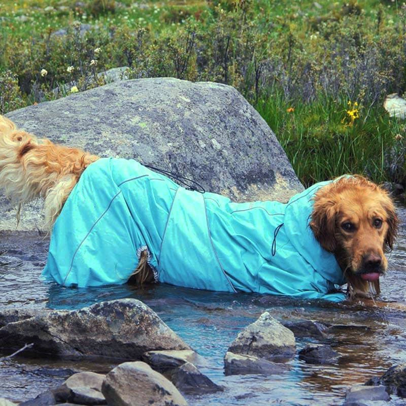 Rear view of a large dog wearing a yellow waterproof raincoat, showing reflective elements.