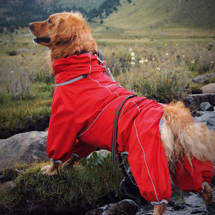Close-up of adjustable straps on a waterproof dog coat, suitable for various large dog breeds.