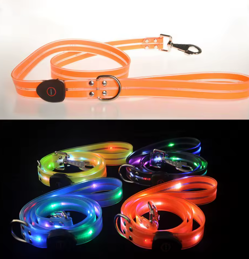 LED dog collar and leash set for night safety, rechargeable and visible for walks