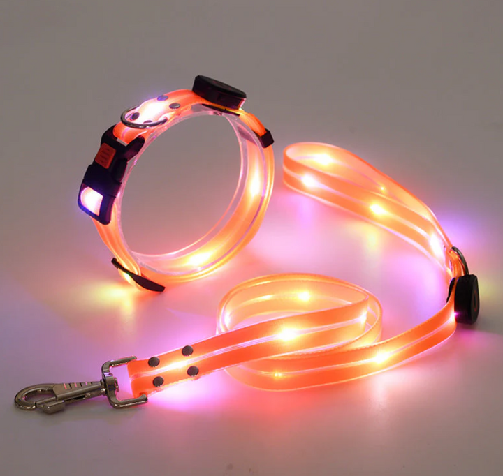 Unisex LED dog collar and leash combo, enhancing pet safety during evening outdoor walks