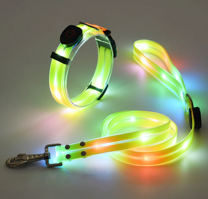 Glow-in-the-dark LED dog collar and matching leash, essential pet gear for night visibility