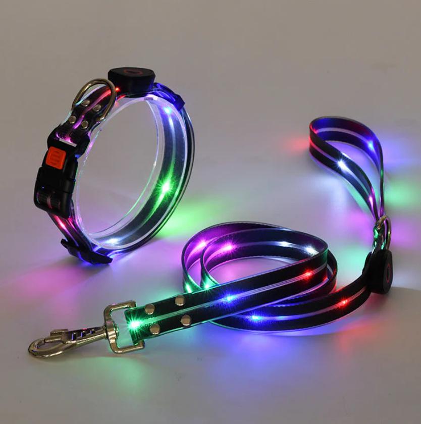 Rechargeable LED dog collar and leash, ensuring enhanced safety for pets on night walks