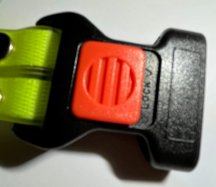 Bright visible LED dog collar and leash set, perfect dog accessories for outdoor pet safety