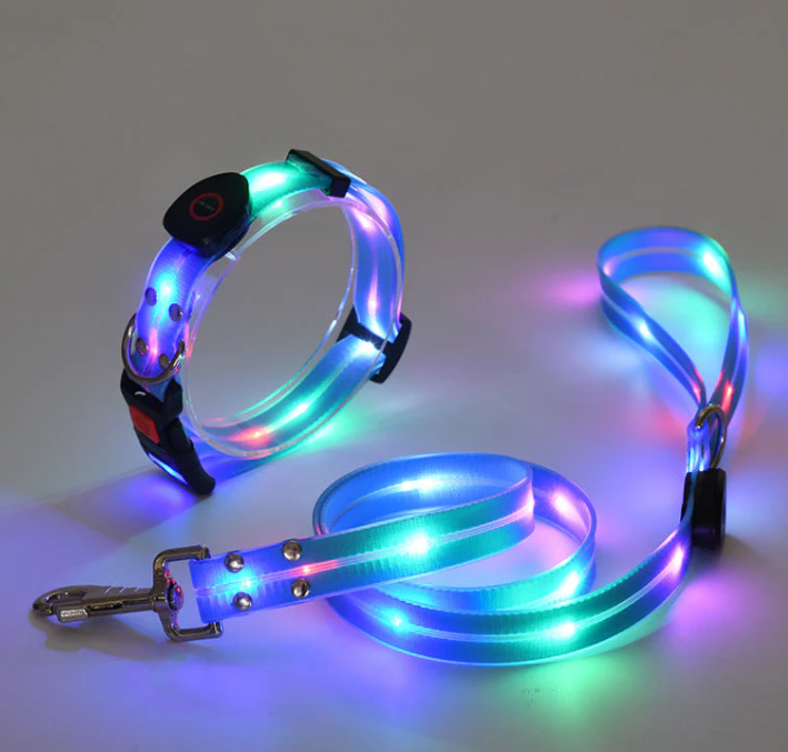 Dog collar and leash with integrated LEDs, maximizing visibility and safety for nighttime adventures