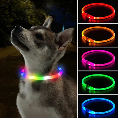 LED dog collar, visible & rechargeable, for night safety; bright light-up pet accessory, unisex.