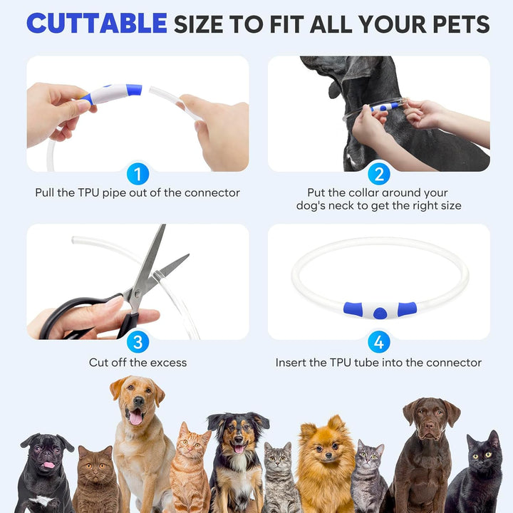 High-visibility LED pet collar, a rechargeable dog accessory for safe night walks & outdoor fun.