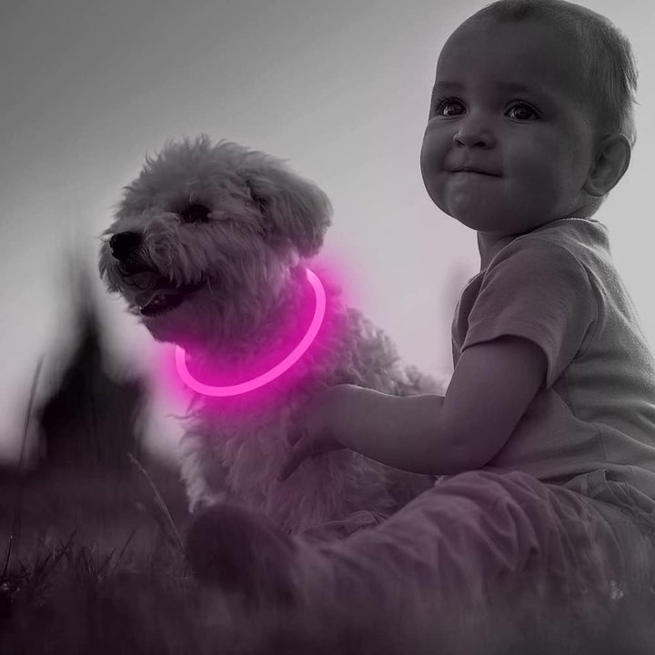 Rechargeable LED dog collar, durable & waterproof, for enhanced night visibility & pet safety.