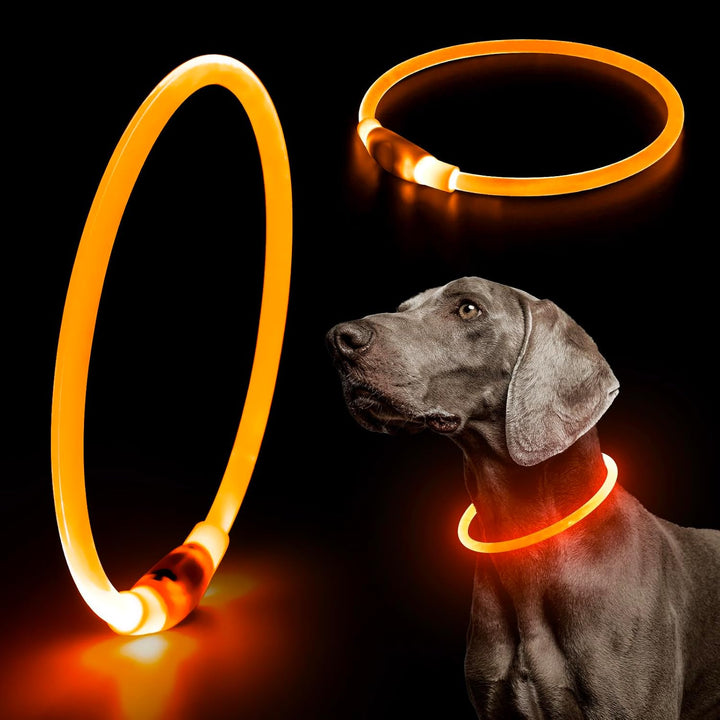 Highly visible LED dog collar, USB rechargeable, designed for pet safety in low light.