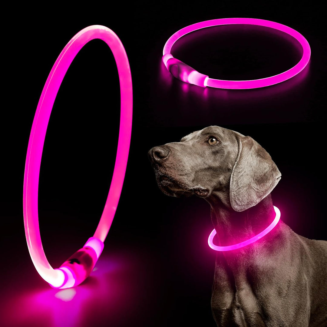 Pet safety LED collar, rechargeable and illuminated, for peace of mind during night walks.
