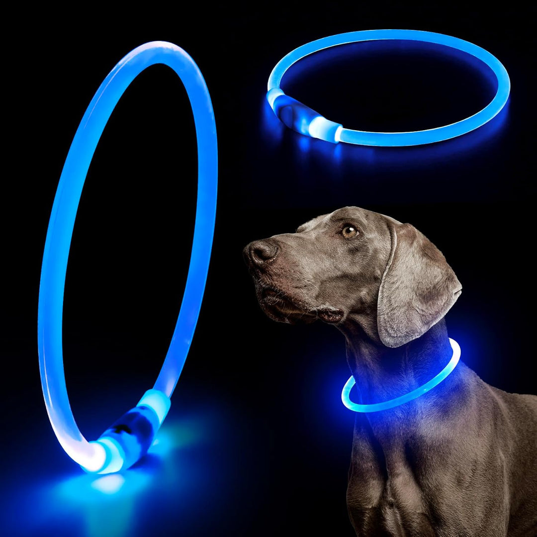 Rechargeable glowing LED dog collar, a pet supply for optimal night visibility and safety.