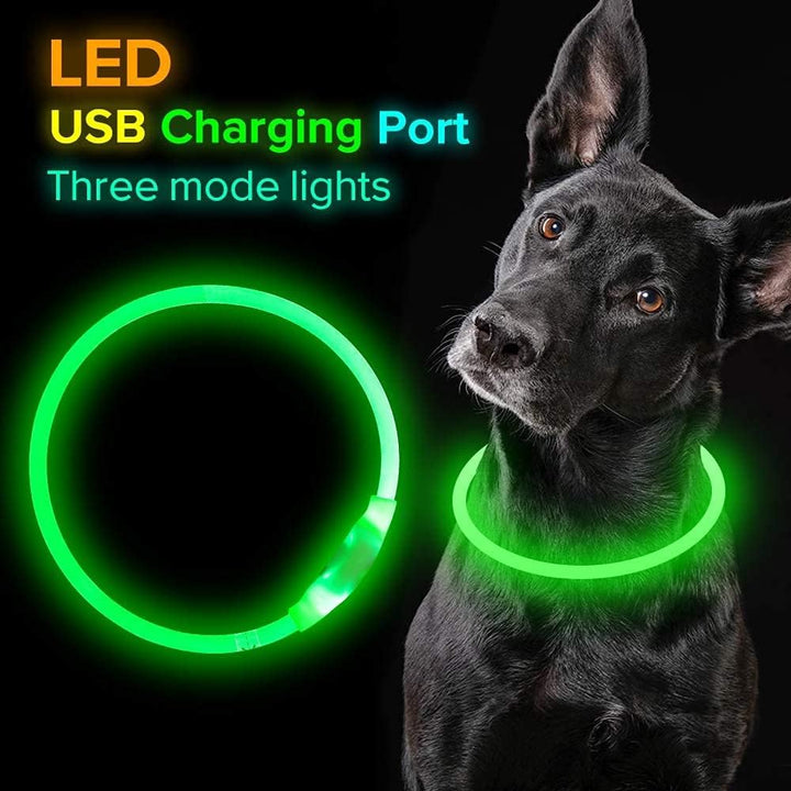 Rechargeable LED pet safety collar for dogs, enhancing visibility in low light conditions.