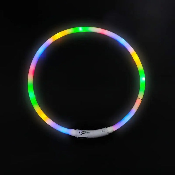 Unisex LED pet collar, rechargeable & easily visible, enhancing dog safety in dark conditions.