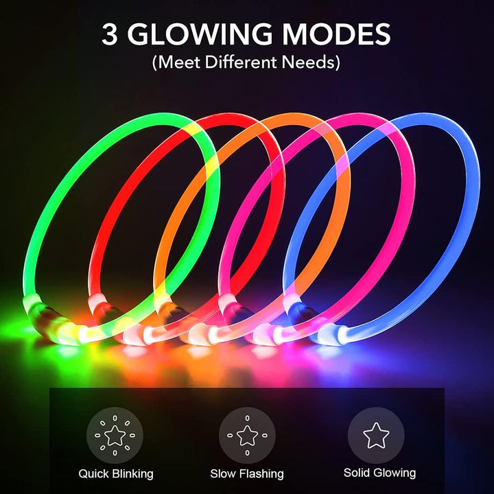Bright LED dog collar, a rechargeable pet accessory designed for maximum night safety.