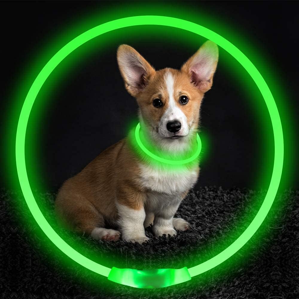 Unisex LED pet collar providing visibility & safety for dogs during evening walks; USB rechargeable.