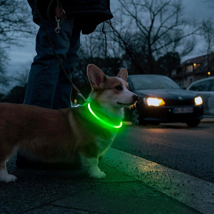 Durable LED pet safety collar, rechargeable & highly visible for dogs; essential night walking gear.