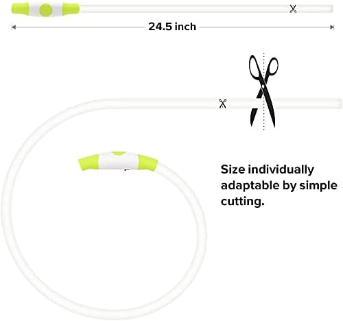 Illuminated dog collar with LED lights; a rechargeable pet supply for enhanced nighttime visibility.