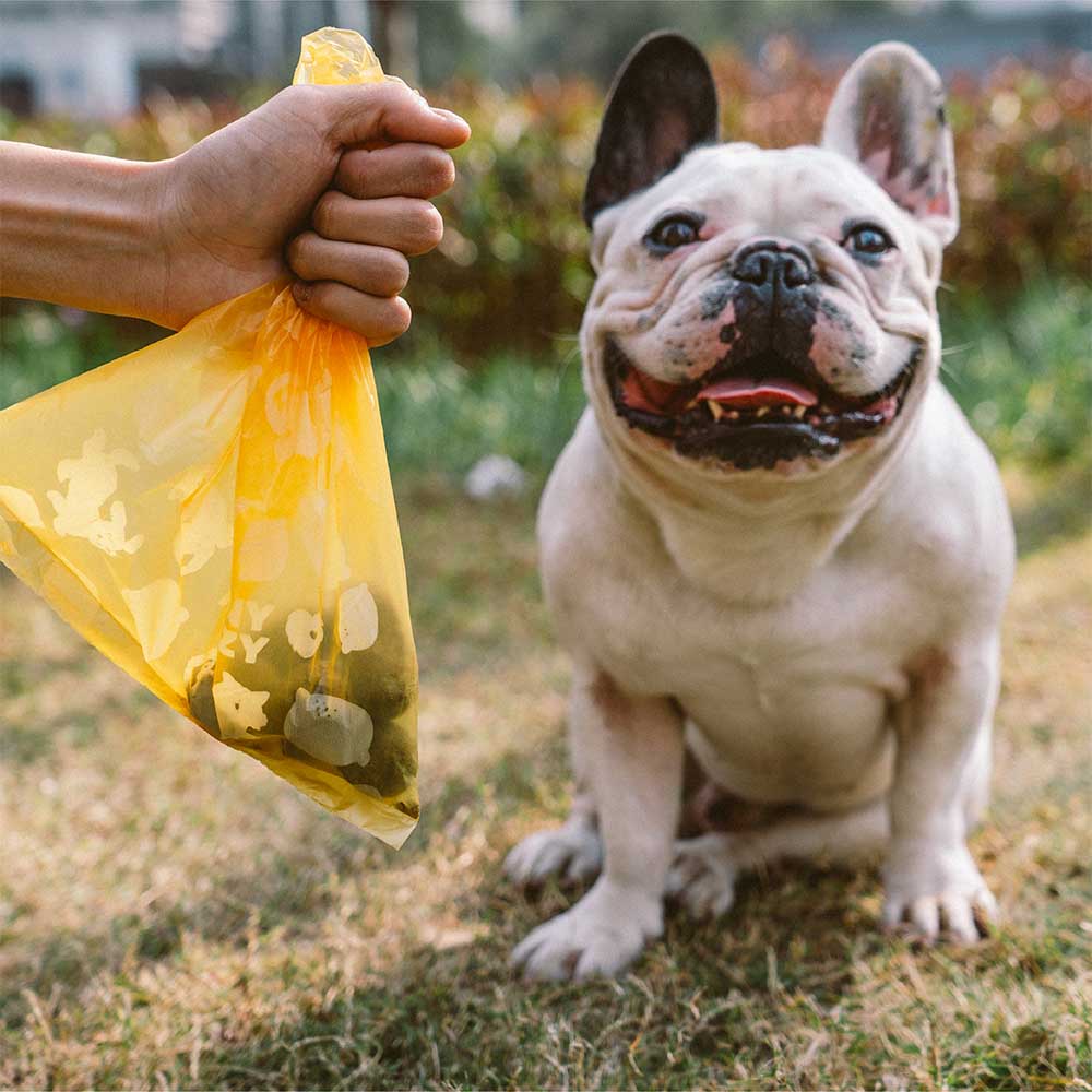 Biodegradable pet poop bags with lemon fragrance, ideal for eco-conscious dog owners