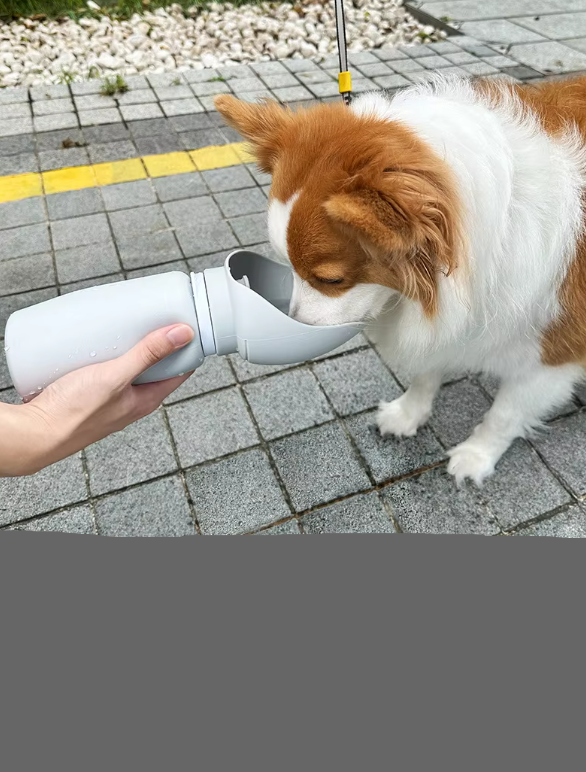 Portable dog water bottle and collapsible bowl for pet travel, ensuring easy hydration.