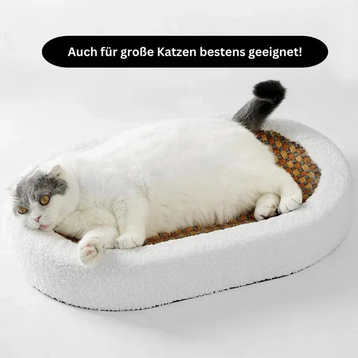 Beige luxury cat bed featuring a corrugated scratching pad, stylish design for a modern home.