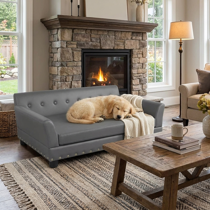Luxury elevated leather dog sofa, orthopedic joint support for large breeds. Modern pet furniture comfort.