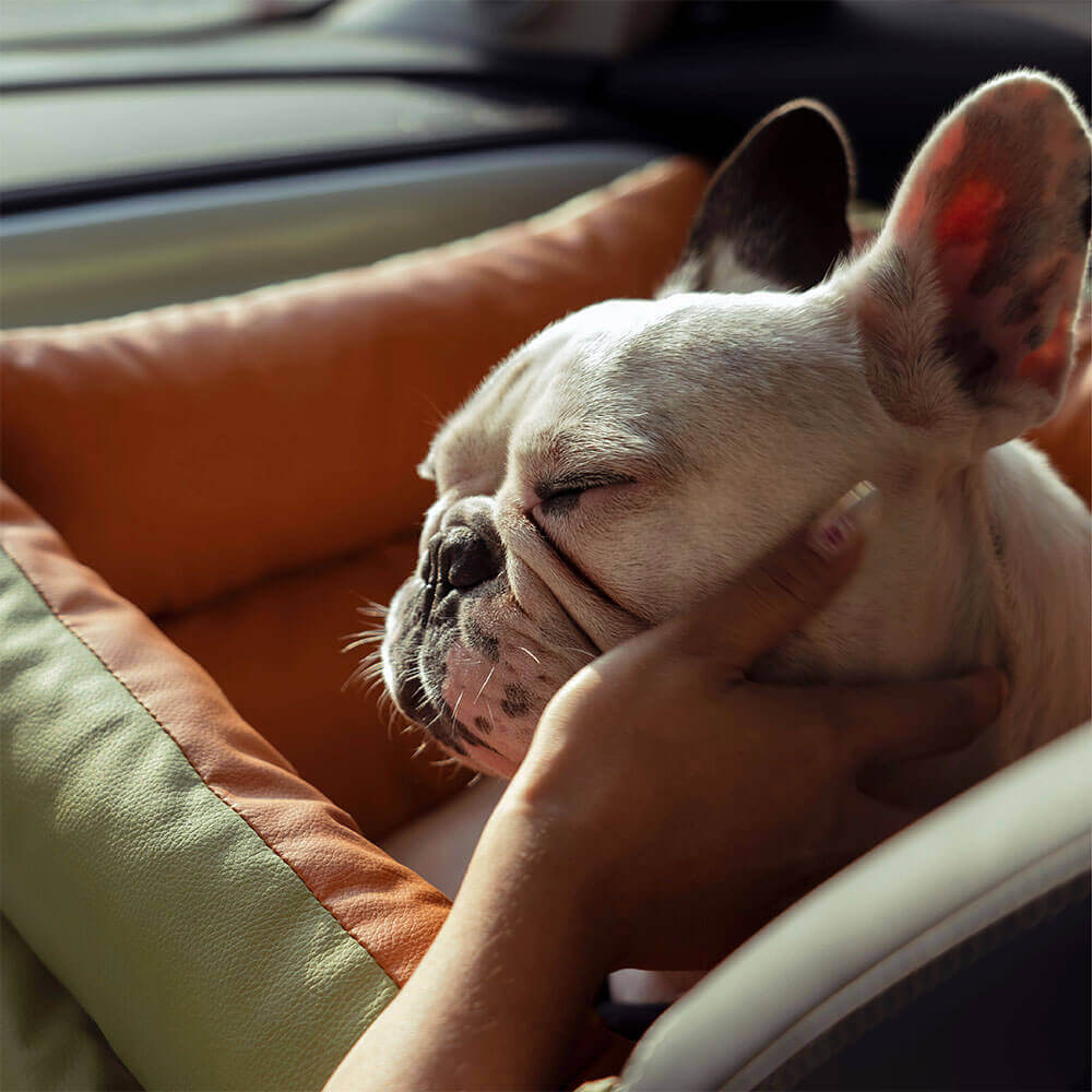 Stylish faux leather pet booster for safe and comfortable dog car trips.