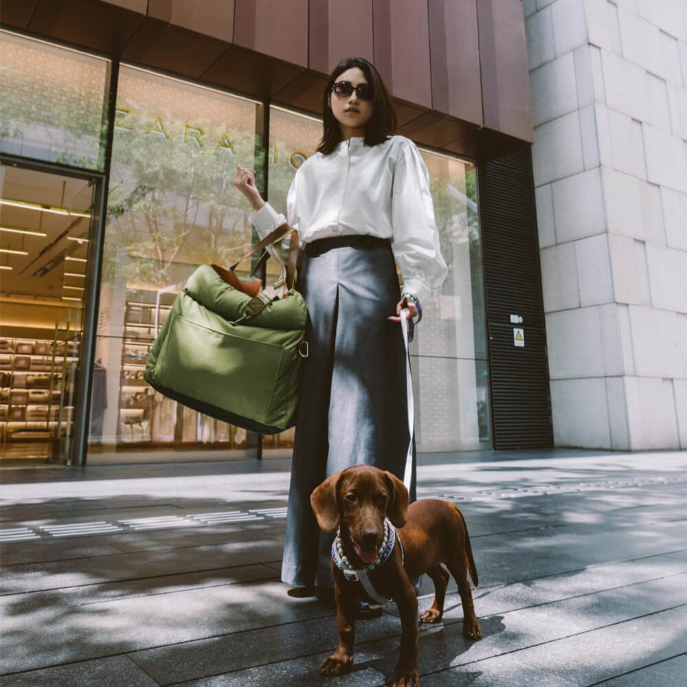 PawLuxury dog car booster for small dogs, combining style with ultimate comfort.