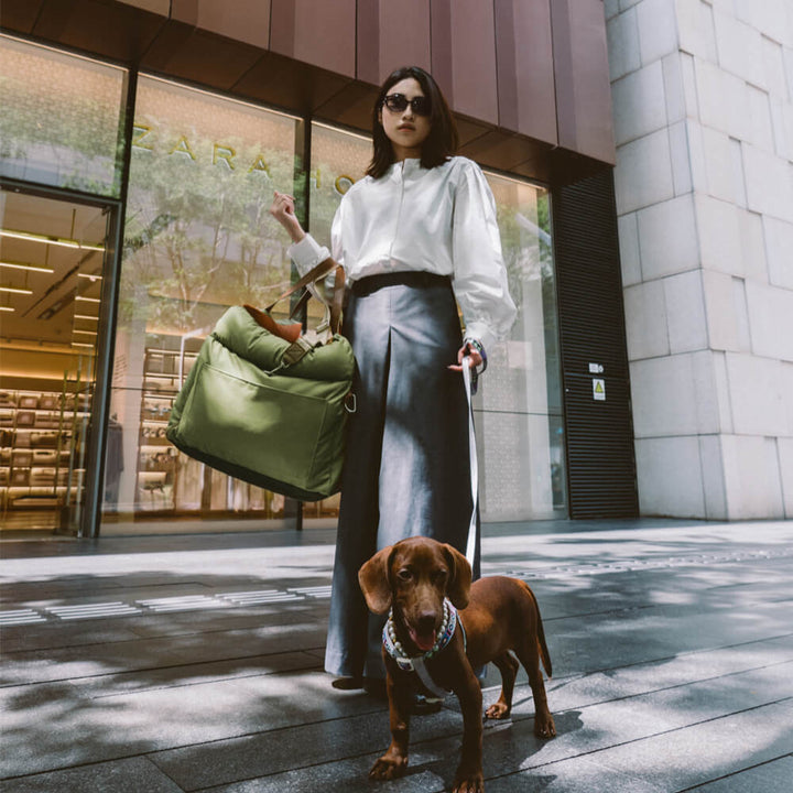 PawLuxury dog car booster for small dogs, combining style with ultimate comfort.