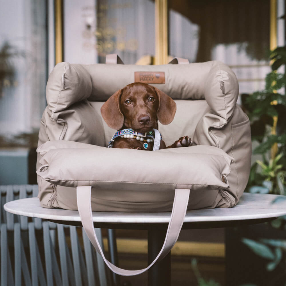 Safe dog car booster for small dogs, elevating views & ensuring pet security.