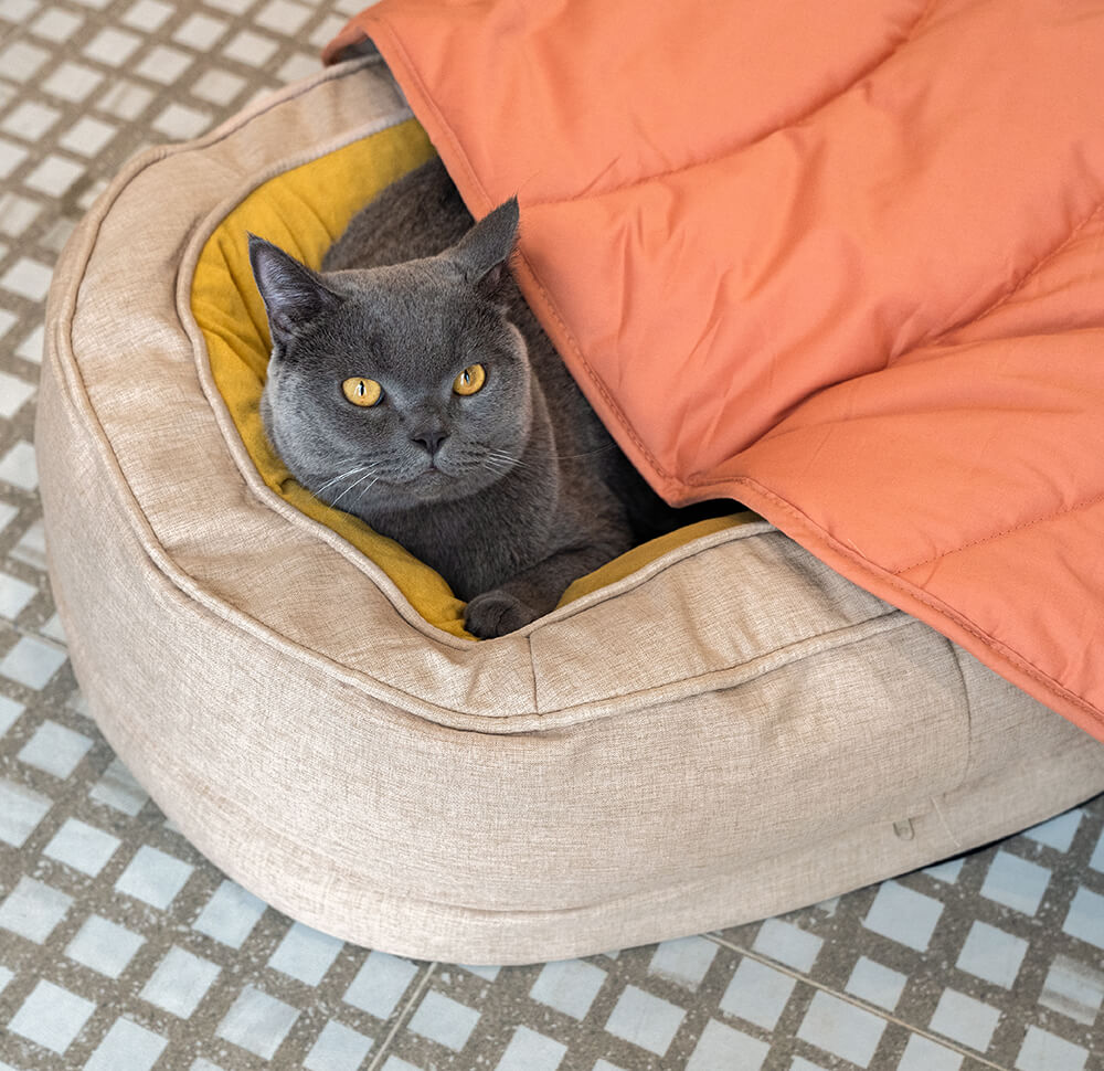 Washable dog bed set: leaf blanket and donut bed for easy care.