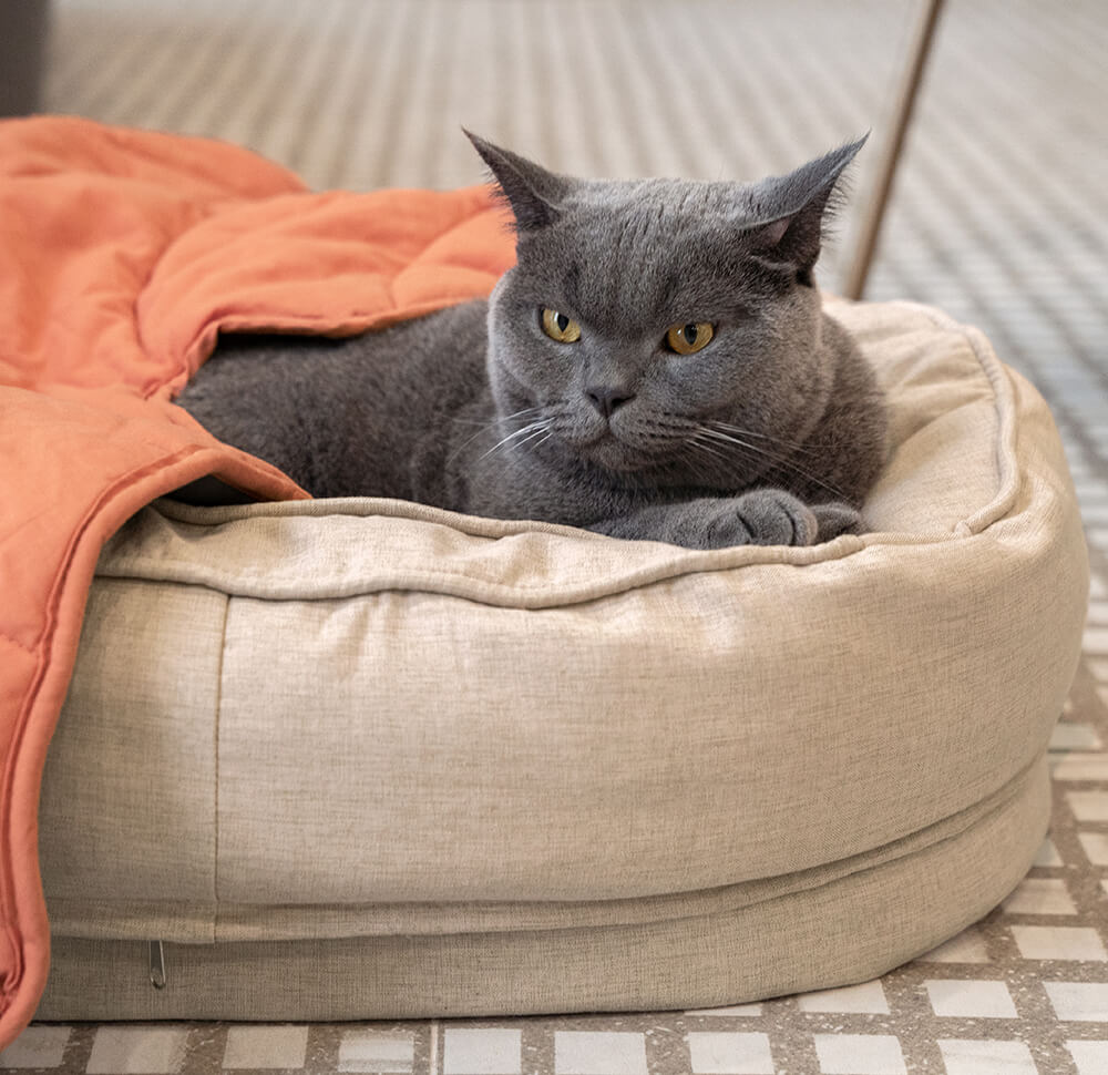 Luxury pet sleep solution, leaf blanket & donut bed combo.