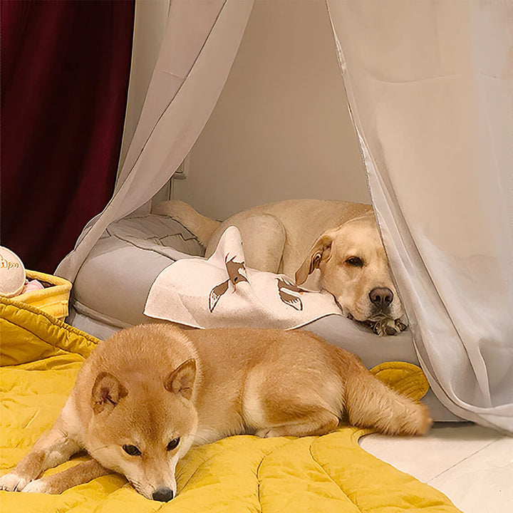Soft green leaf dog blanket paired with a plush donut bed.