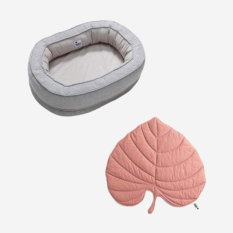 Pet comfort redefined: leaf blanket and donut bed for dogs.