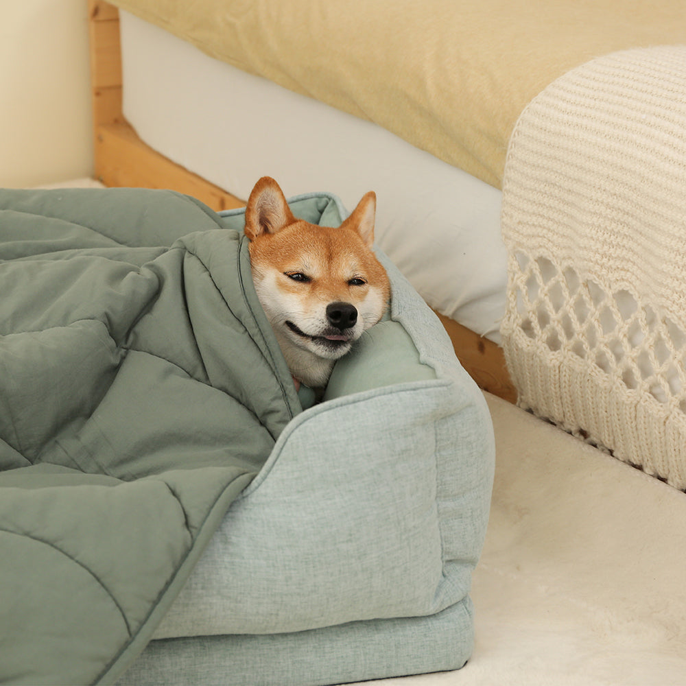 Comfortable dog gift: leaf shaped blanket and round donut bed.