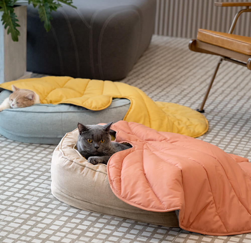 Green leaf dog blanket and grey donut bed for pet sleep.