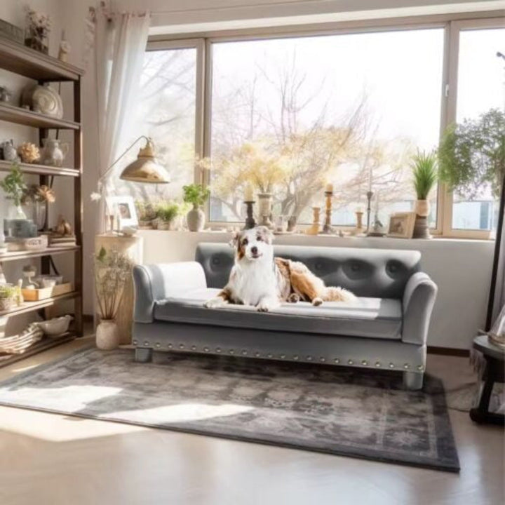 Luxury leather elevated dog sofa bed, brown, with bolstered sides for joint support, durable pet furniture.