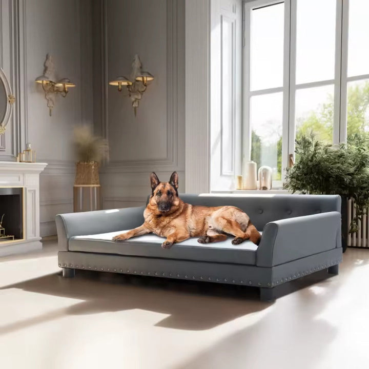 Stylish new luxury dog bed, elevated leather design, offering orthopedic joint support for pets.