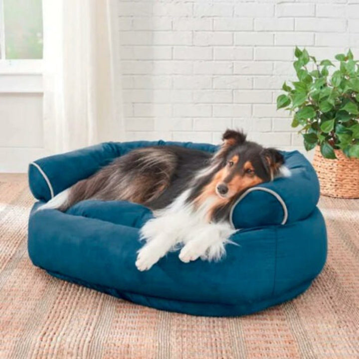 Luxury pet sofa, comfortable dog couch for medium to large breeds, plush upholstered dog bed