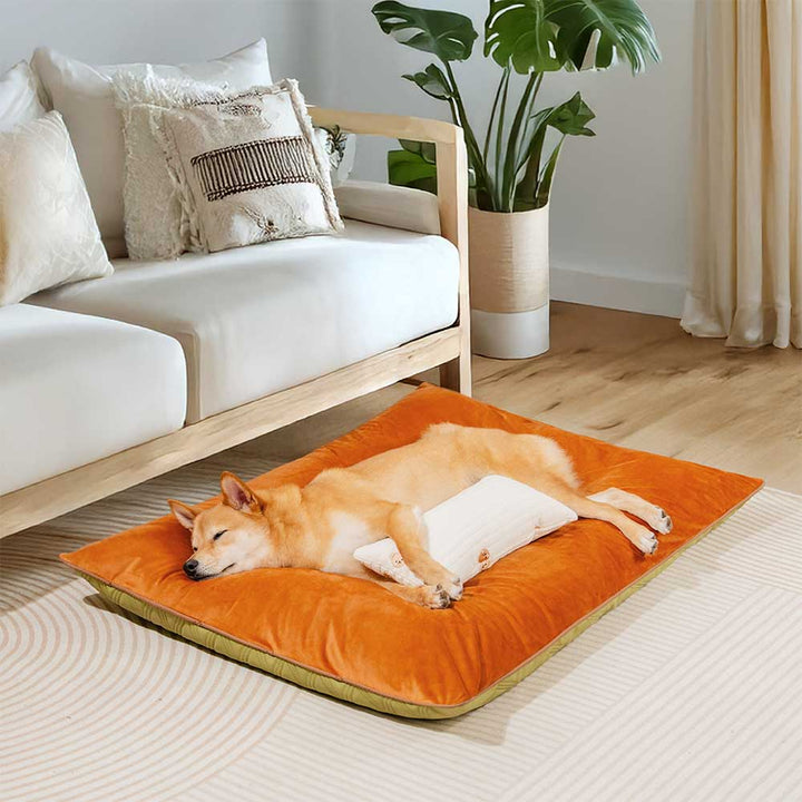Easy clean dog mat, dual-sided for versatile use, promoting pet tranquility