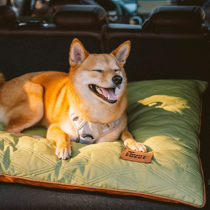 Water repellent dog mat from above, showing its rectangular shape and dual textures